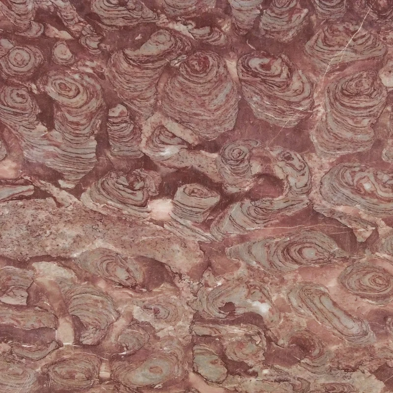 2026_06_12_415612