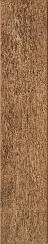 2026_06_12_425330