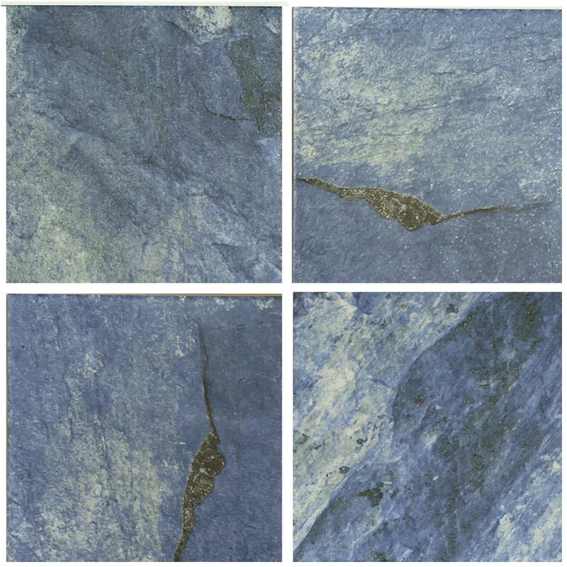 2026_06_12_431933
