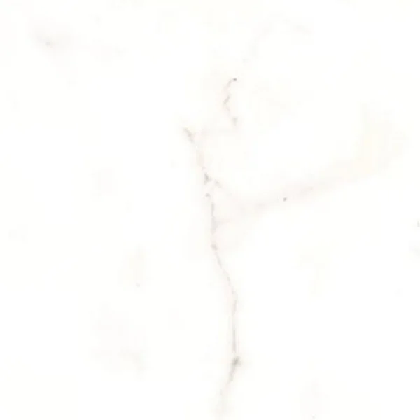2026_06_13_506041