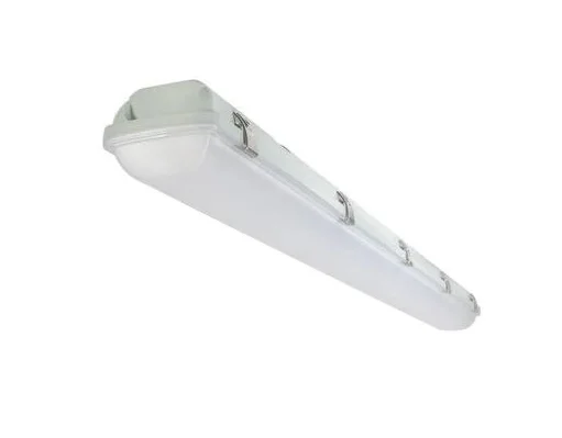 2026_06_14_705019